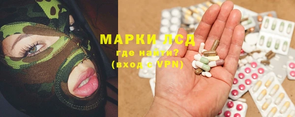 прущие грибы Вяземский