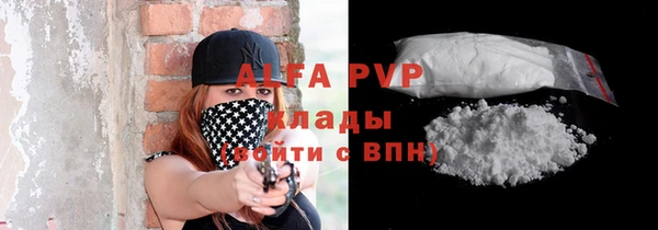 прущие грибы Вяземский