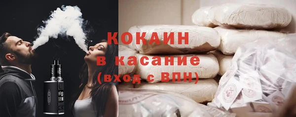 прущие грибы Вяземский