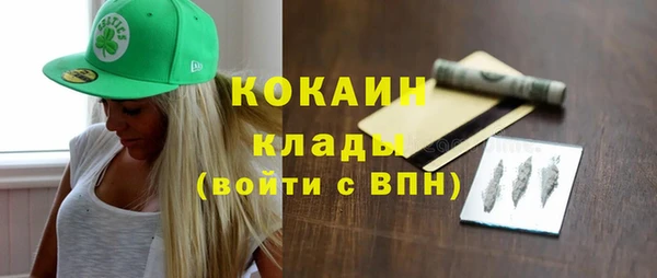 прущие грибы Вяземский
