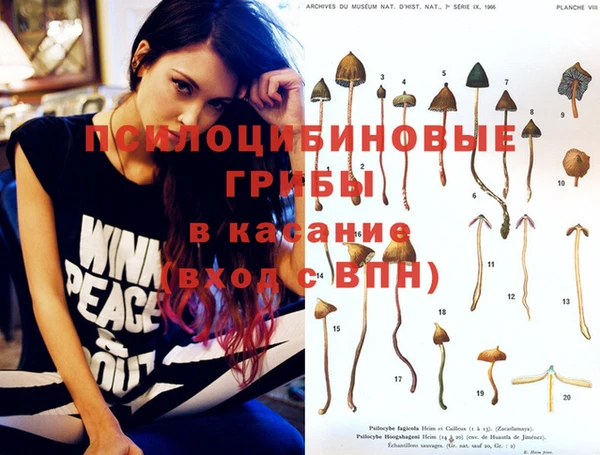 spice Волоколамск