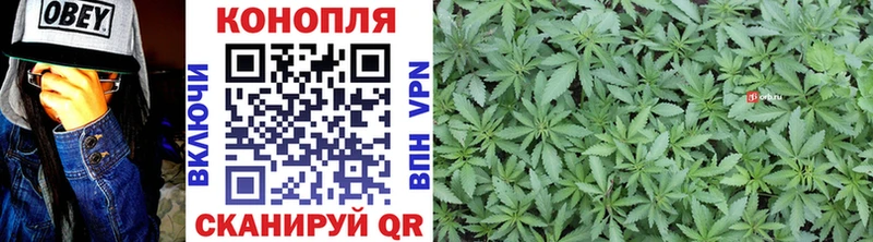 Бошки Шишки VHQ  Купить  Николаевск-на-Амуре 